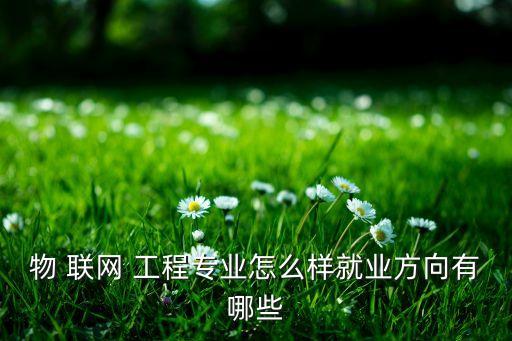 物聯網工程很難畢業嗎...
